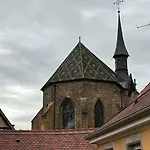 Апартаменты Du Trefle *