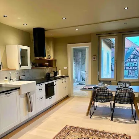 Du Trefle Apartment Colmar